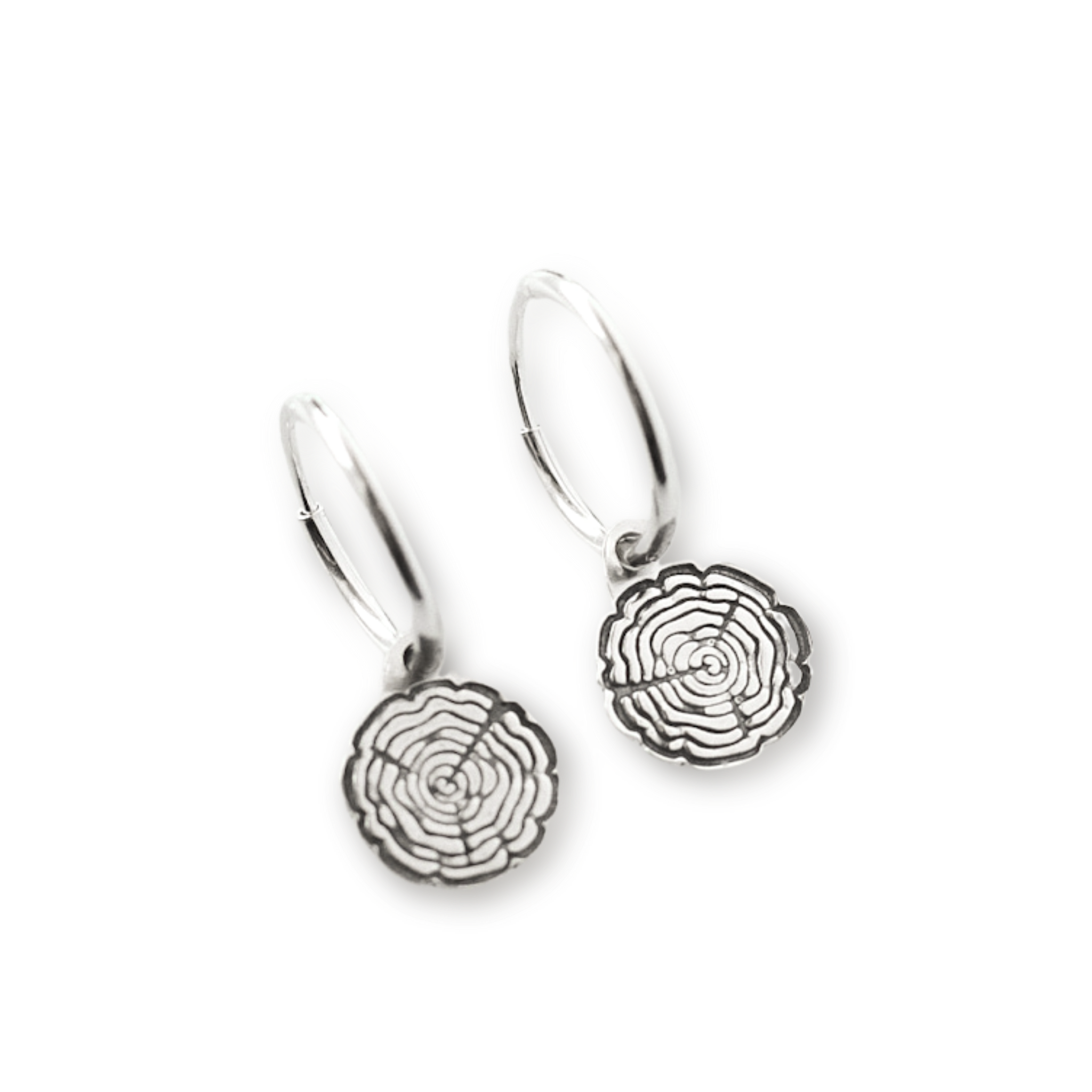 Silver Growth Sleepers