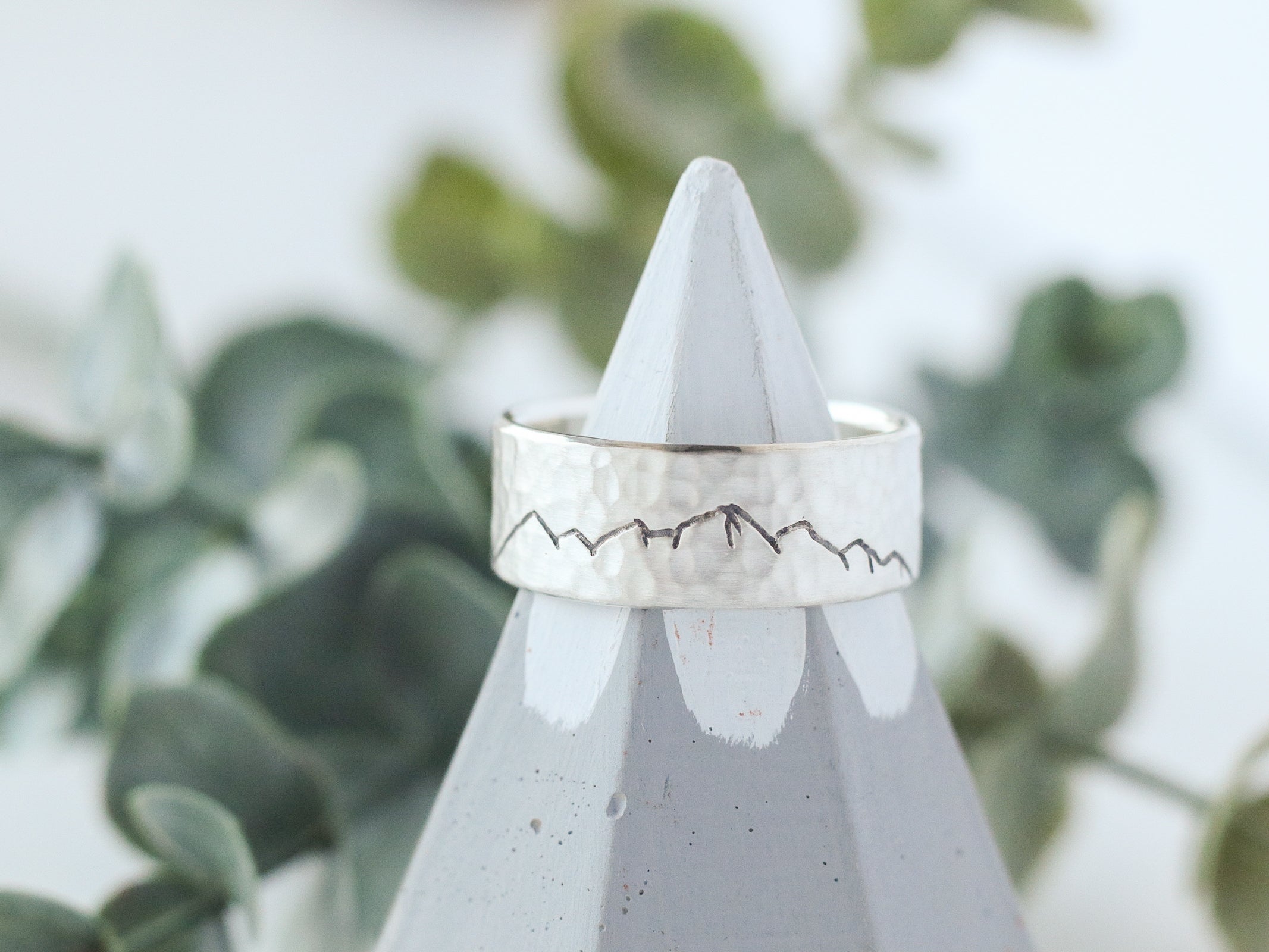 Elevation Ring in Silver