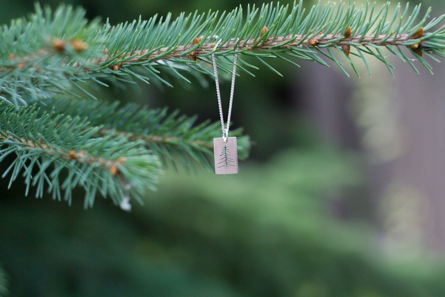 Silver Evergreen Pendant