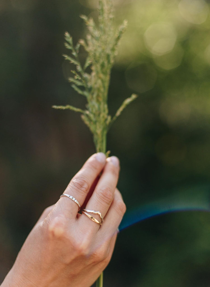 Woman's hand holding leaves with multiple silver and gold nature inspired rings on each finger