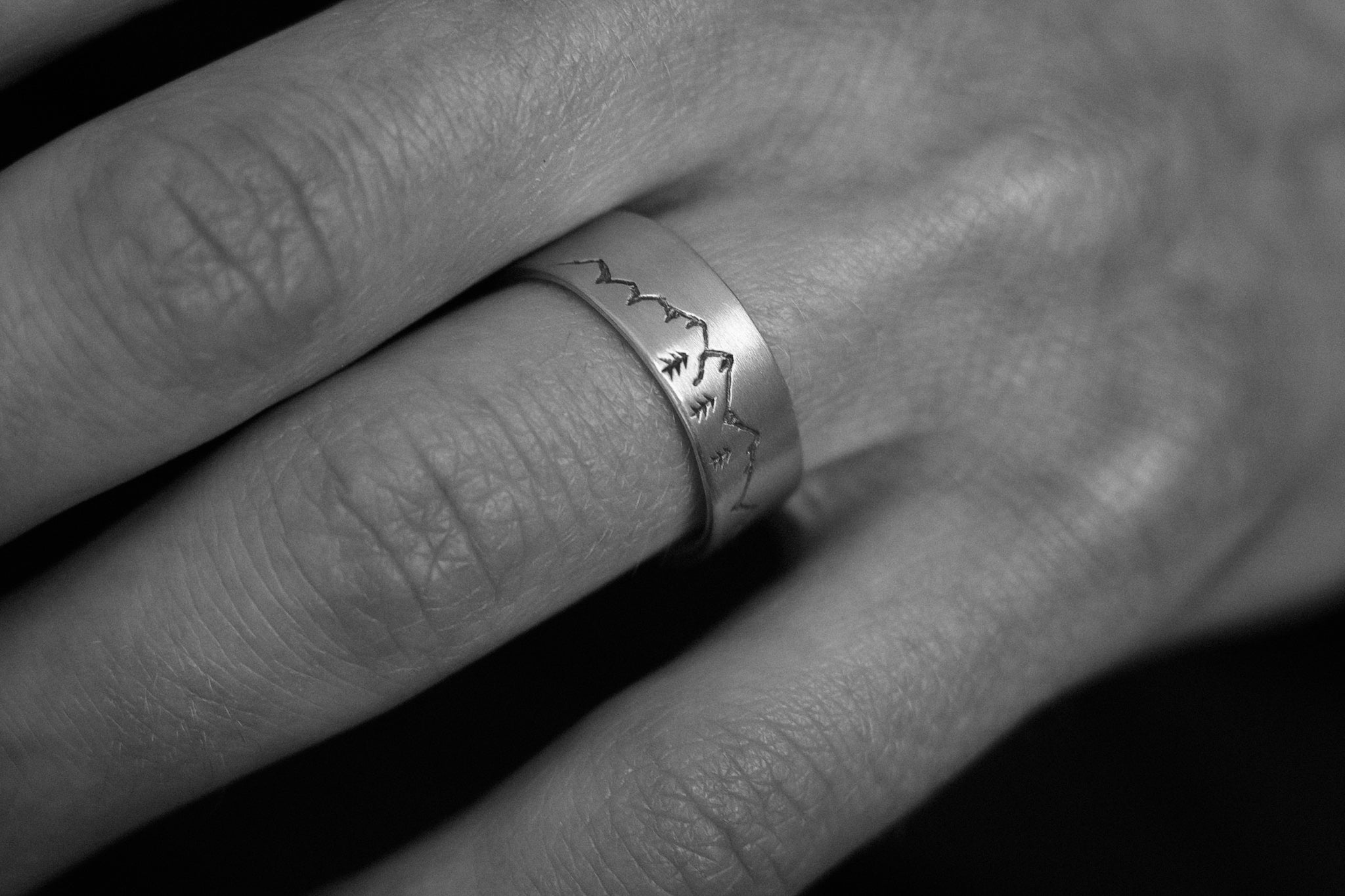 Elevation Ring in Silver