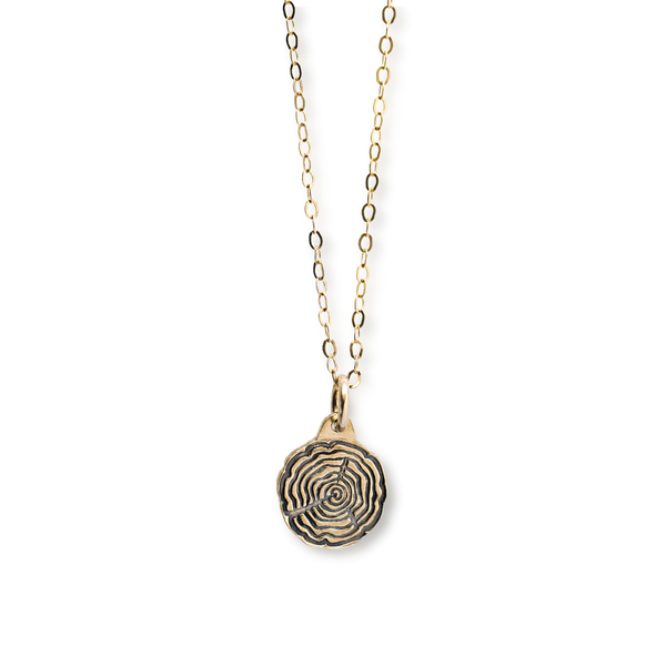gold filled tree wood slice stamped necklace on a transparent background.